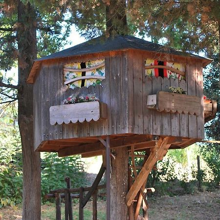 Agriturismo Podere Poggio Ai Cieli サン・ジミニャーノ エクステリア 写真