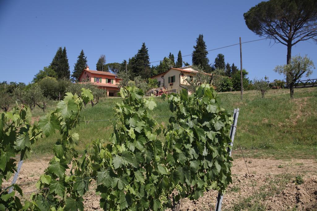 Agriturismo Podere Poggio Ai Cieli サン・ジミニャーノ エクステリア 写真